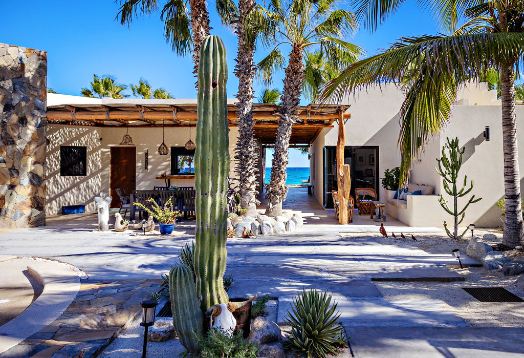 Cactus garden and house